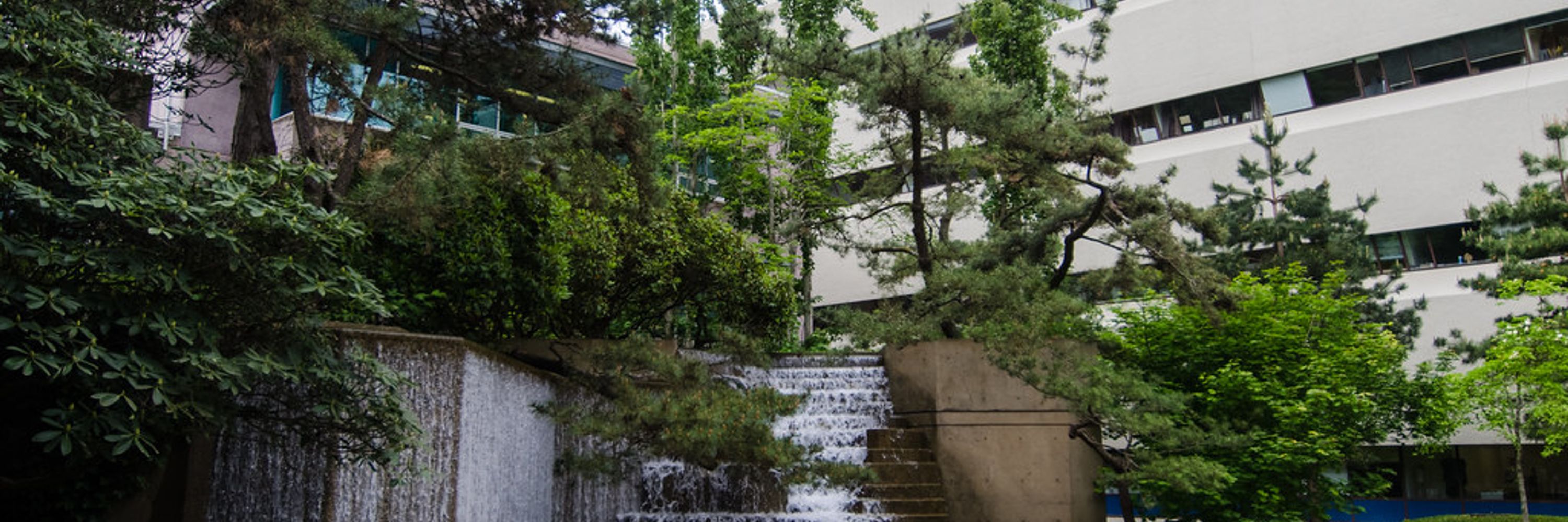 UBC School of Nursing