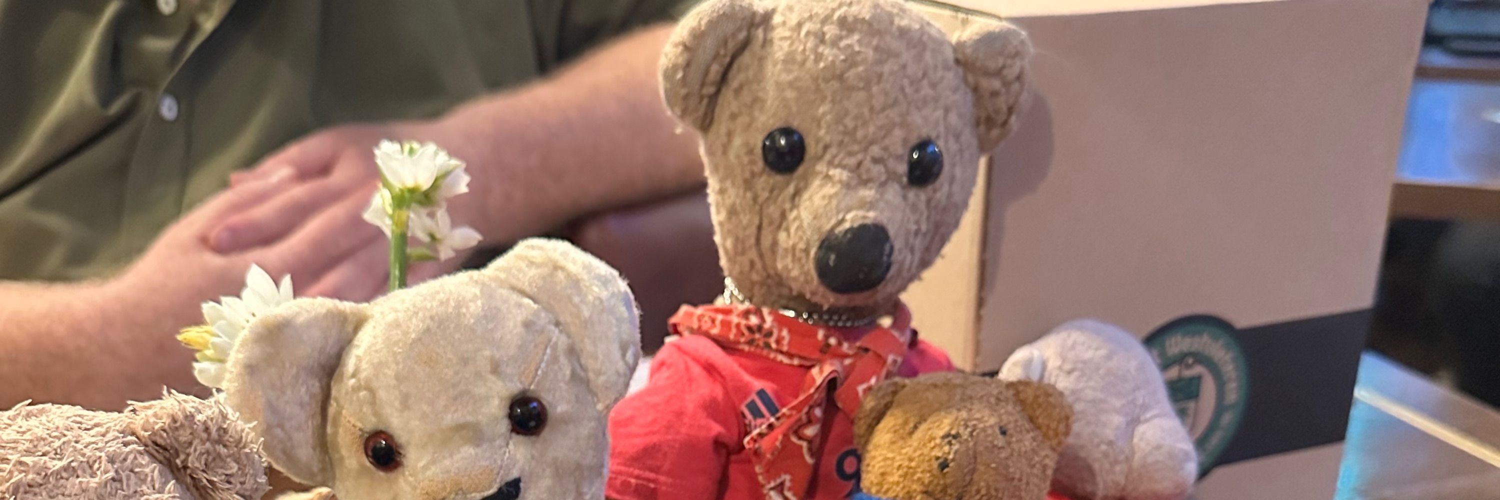Reddy T Bear 