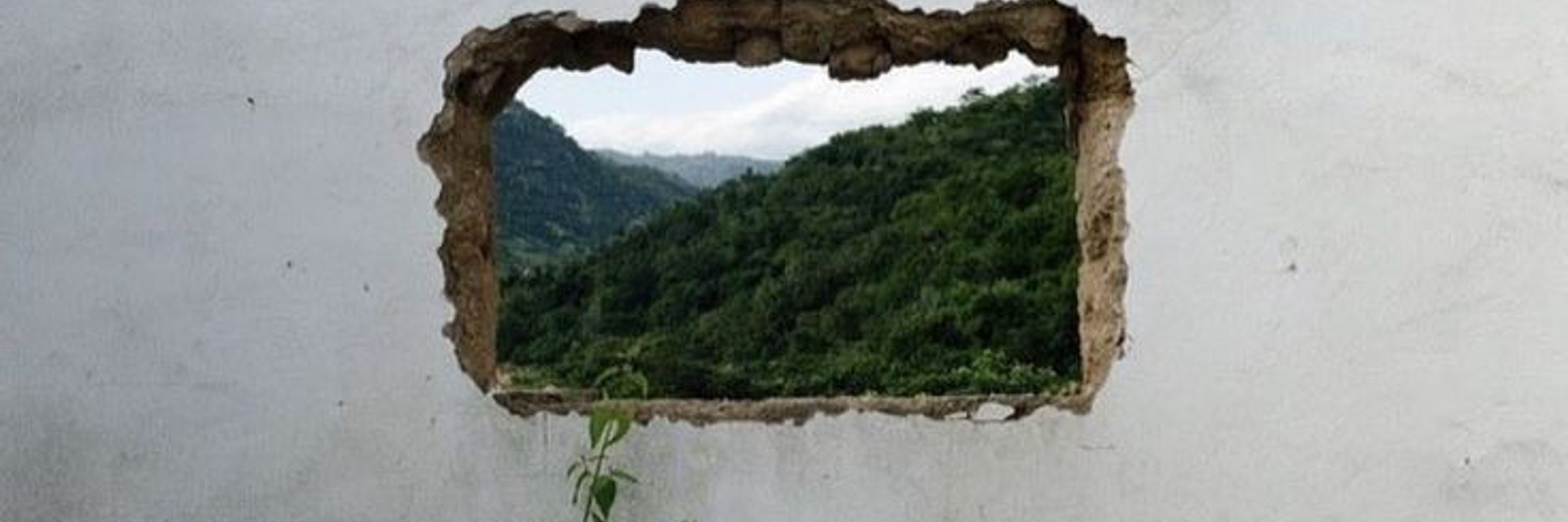 Bulutgibi