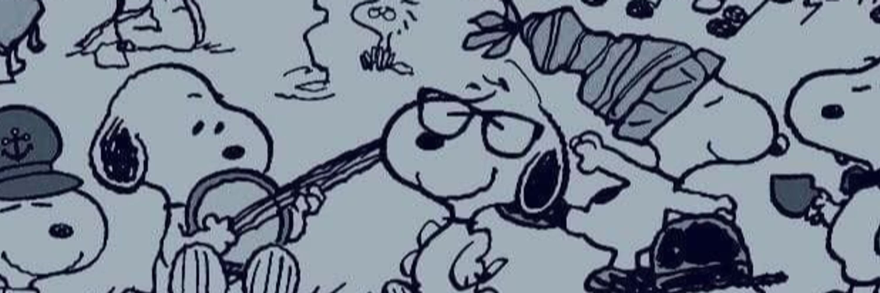 dottie