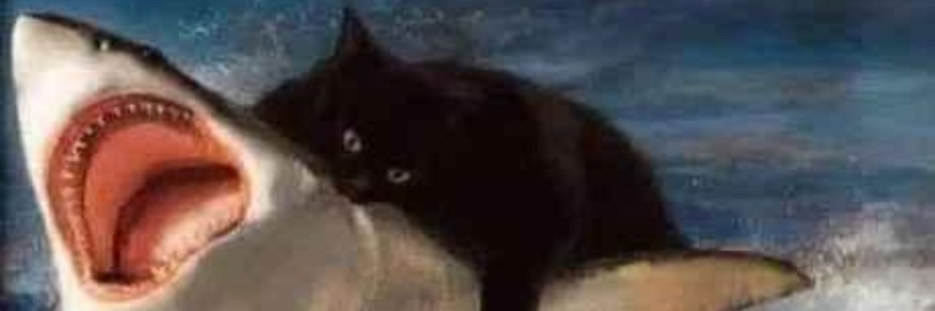TheTemporalGhostX