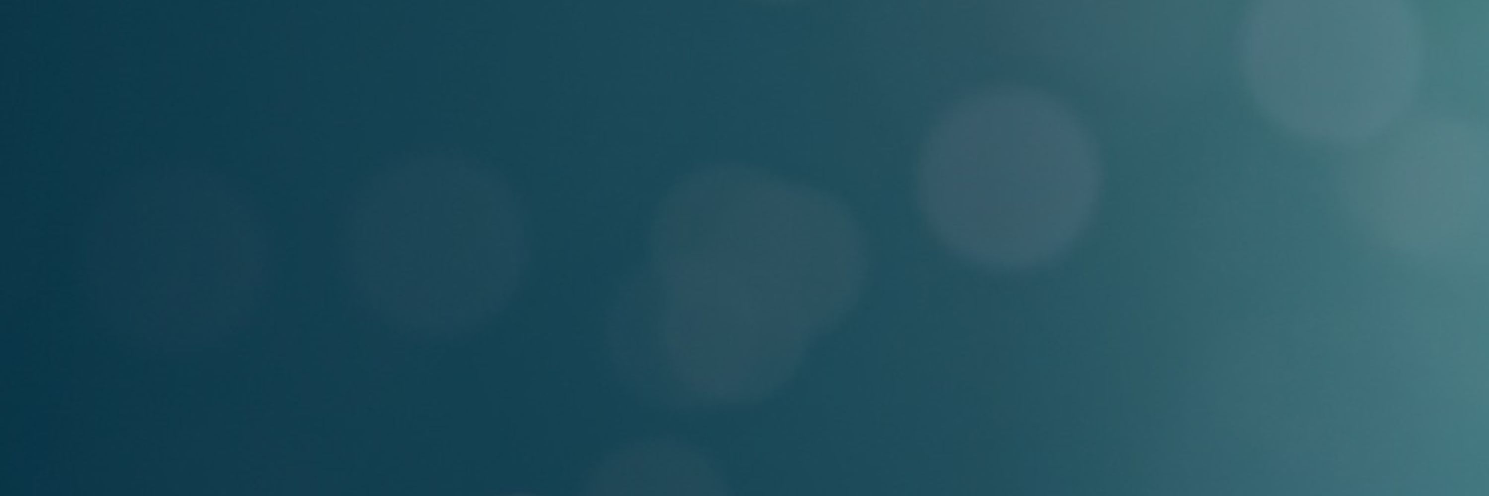 Global Network Initiative 