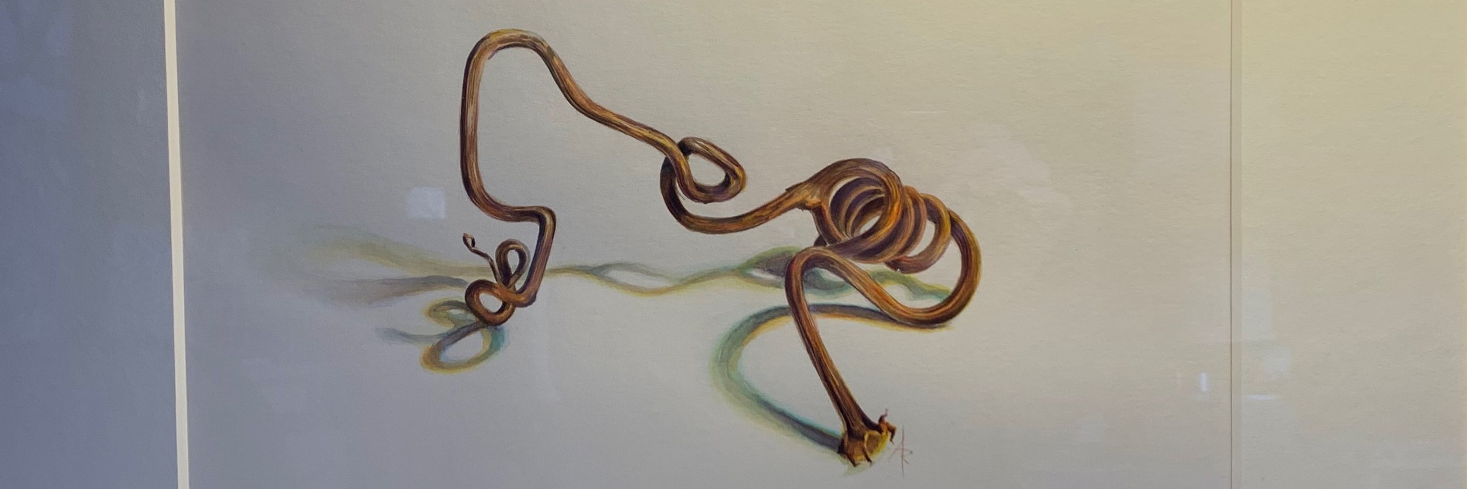 Amy Robillard