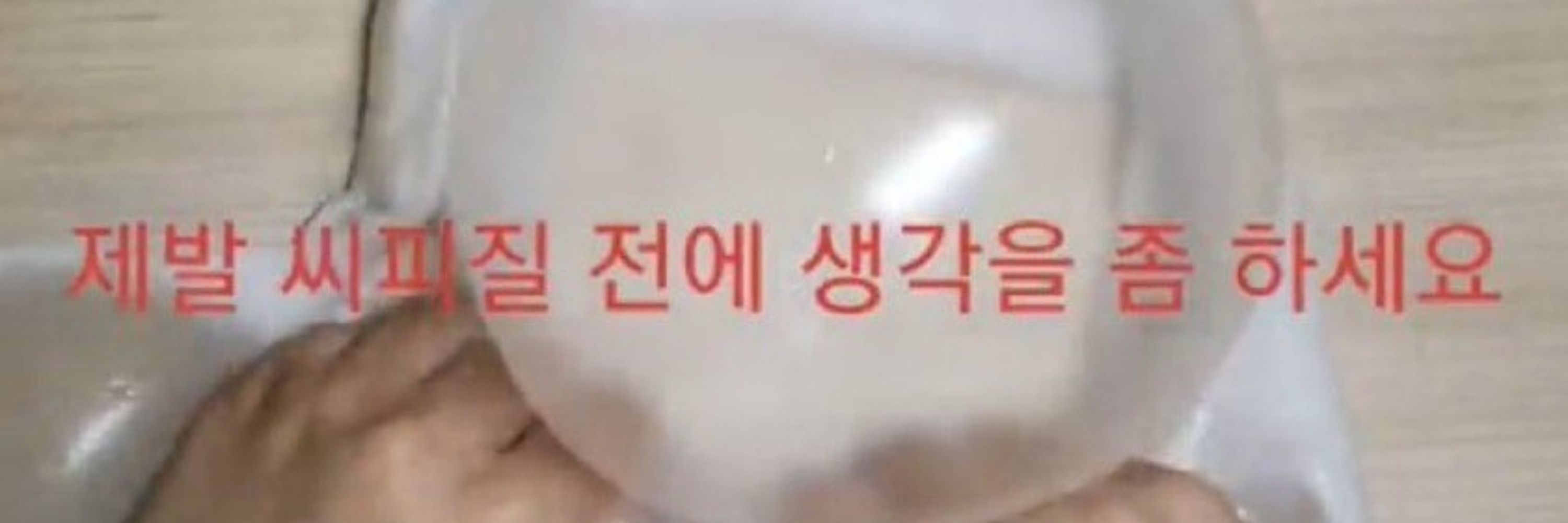 부대찌개망언봇