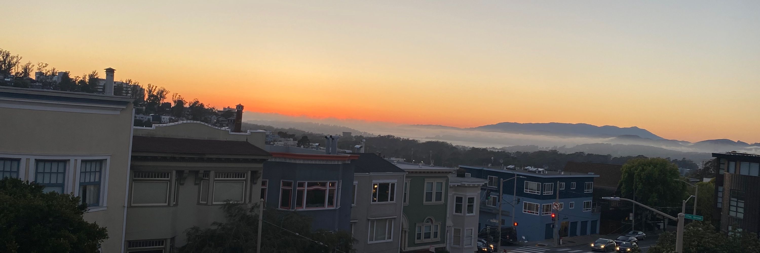SF Guy