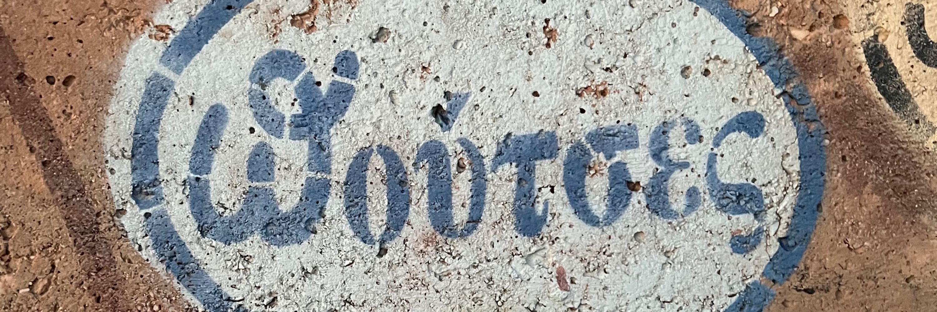 RaetroMario