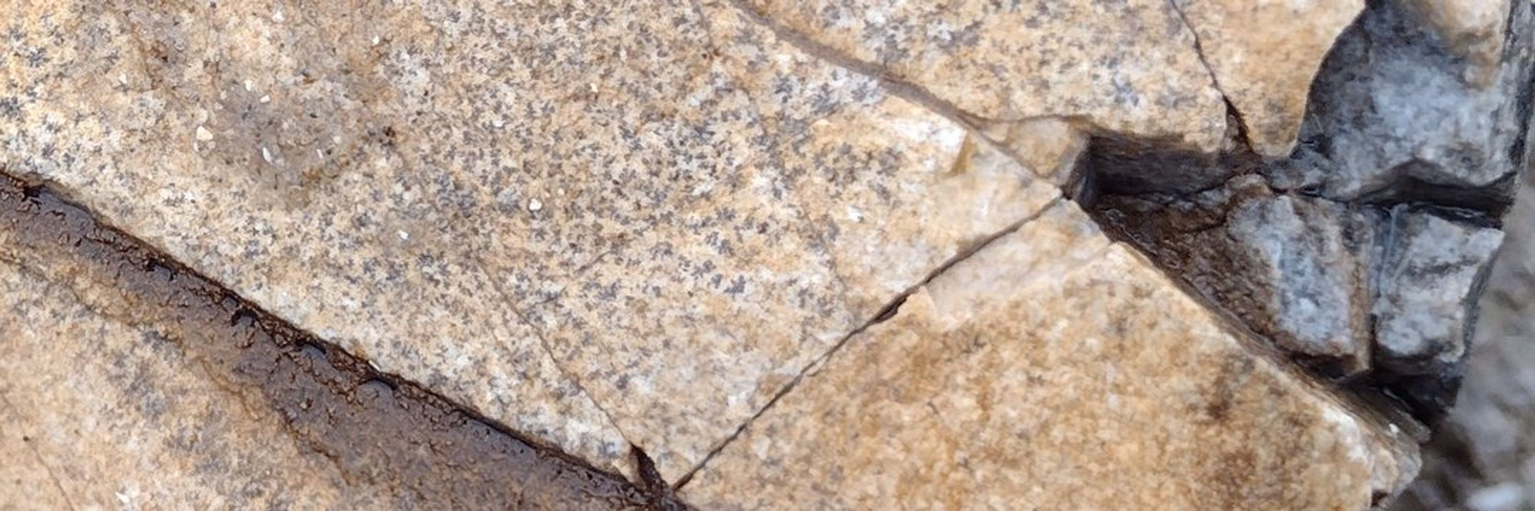 Prehistoric Wirral