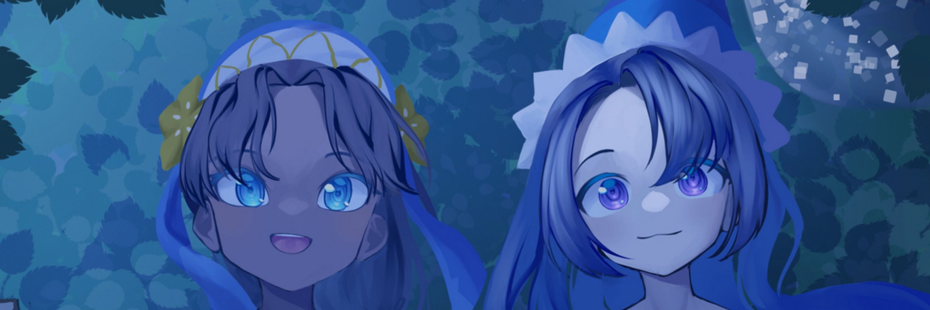 Profile banner