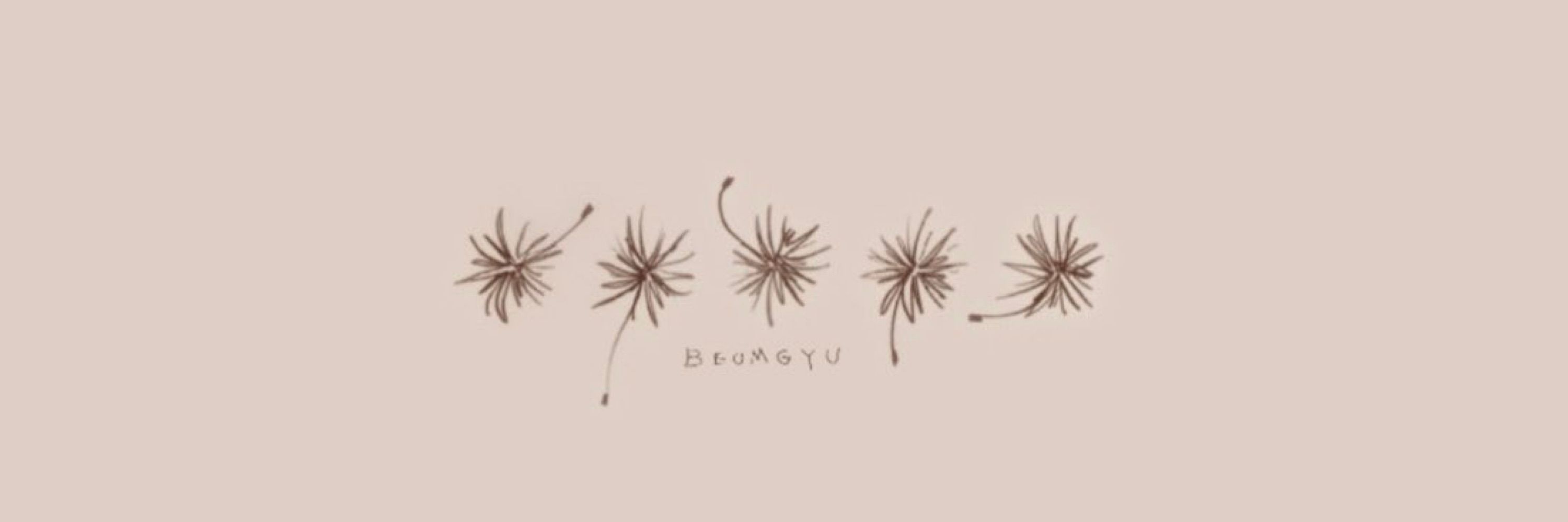 Rayᯓ✦