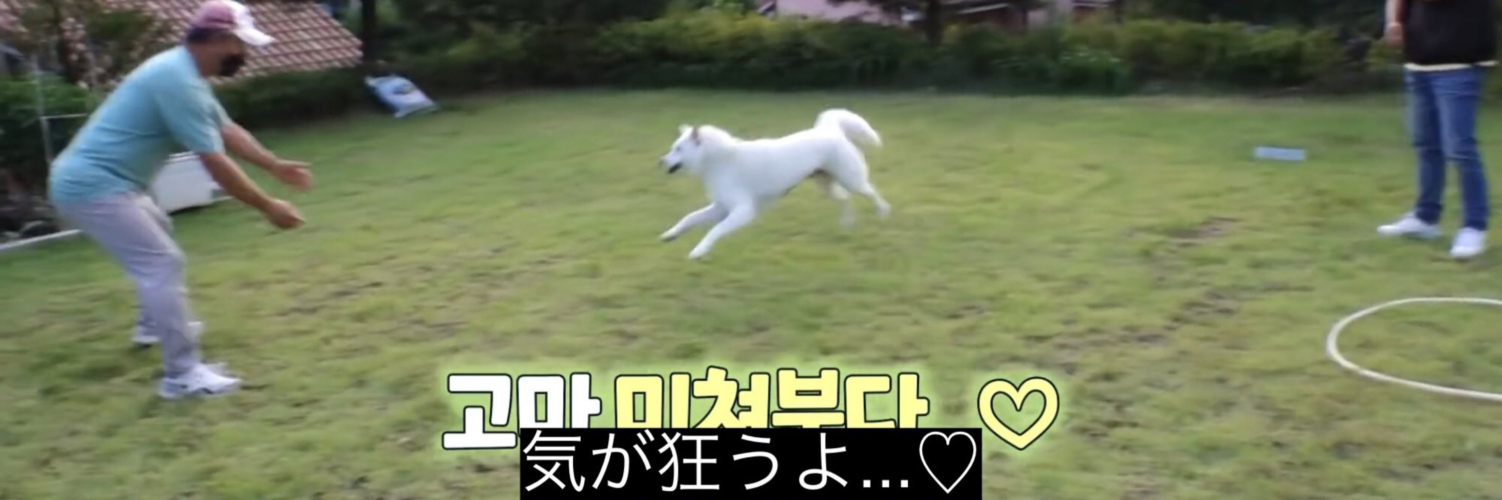 ヘラリスト道楽