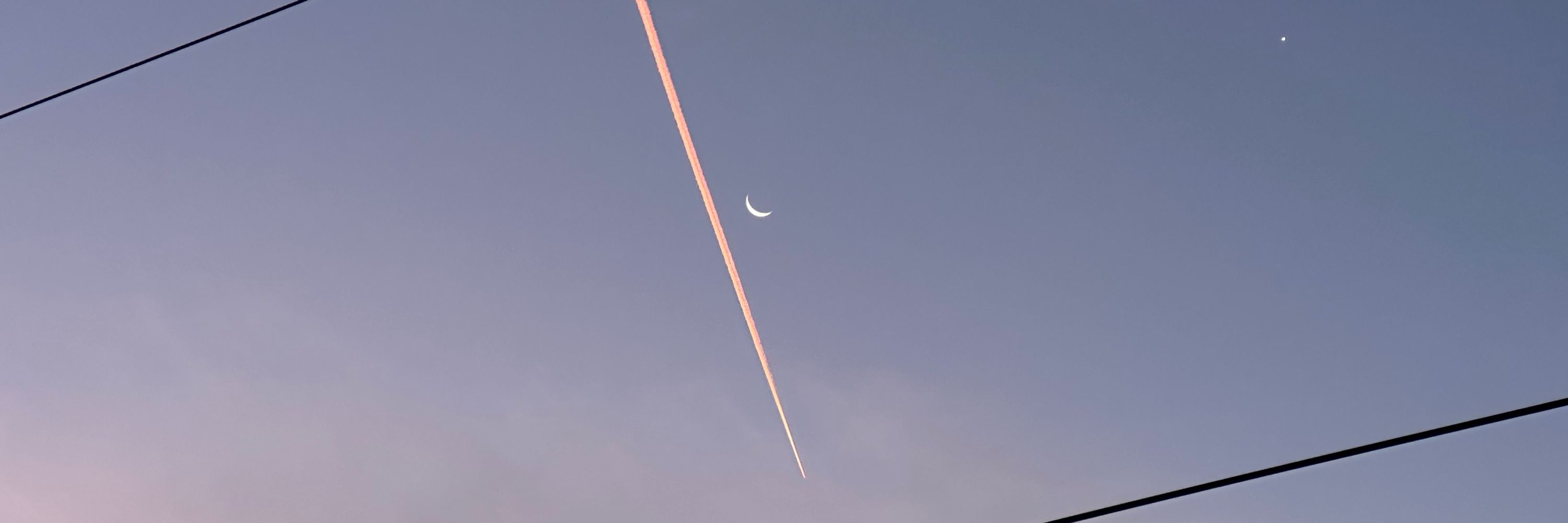 Sascha Wolfer
