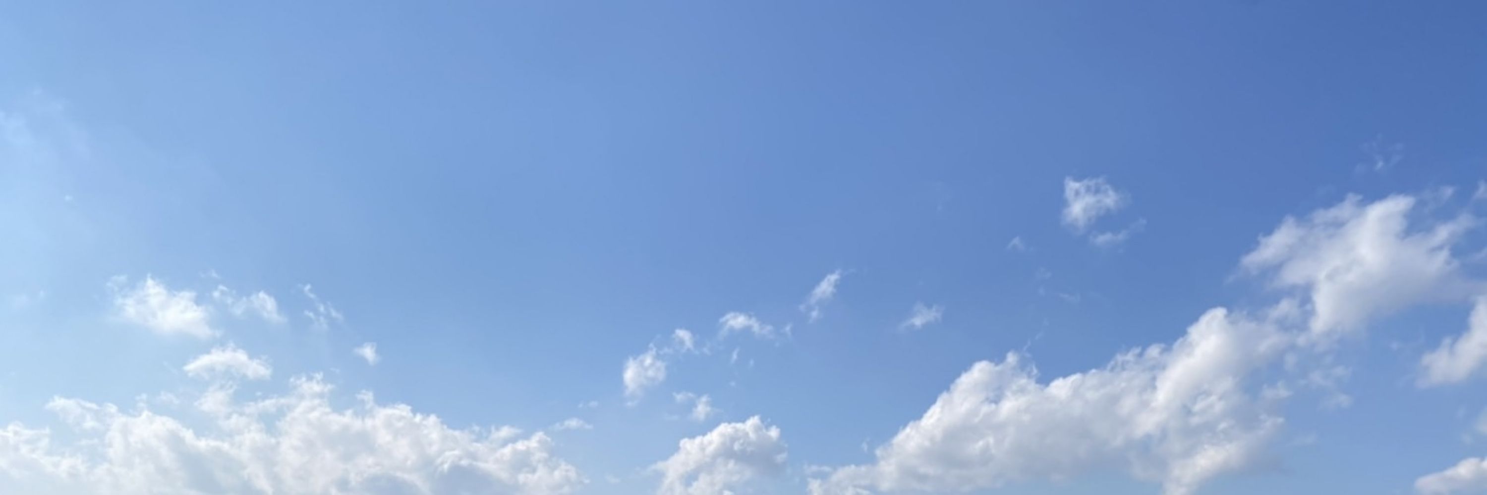 はな