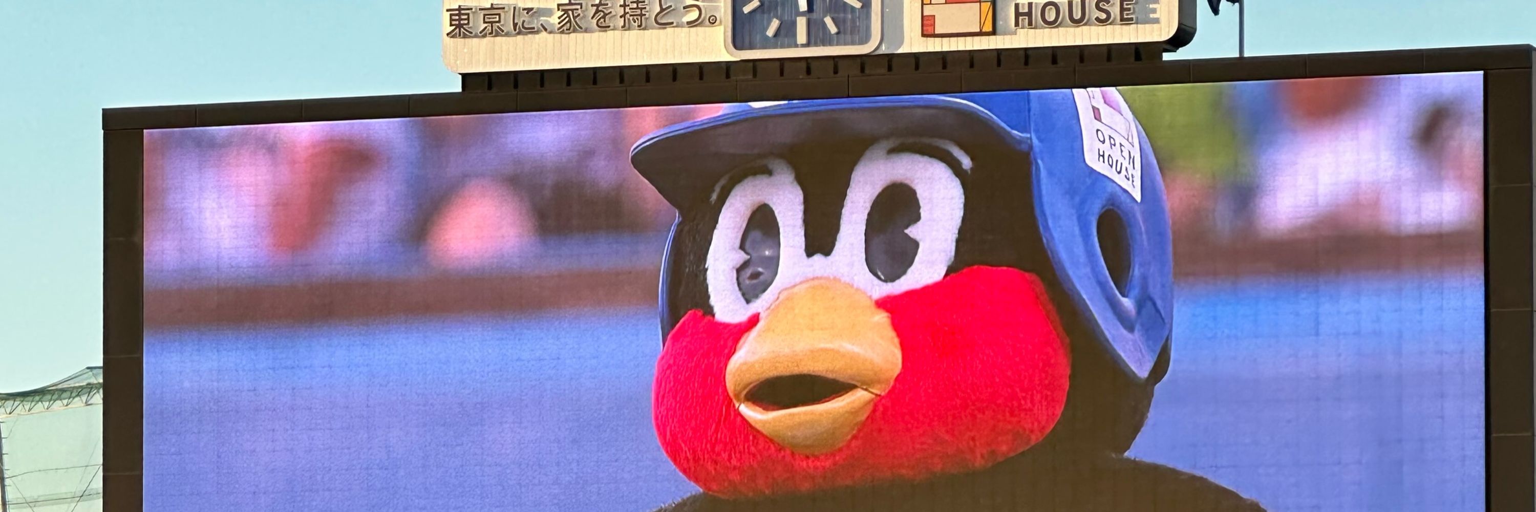 あいあいYS🐧