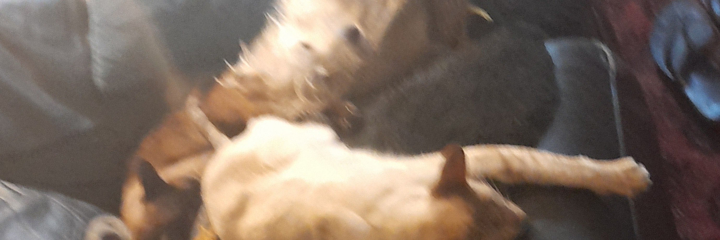 Digger