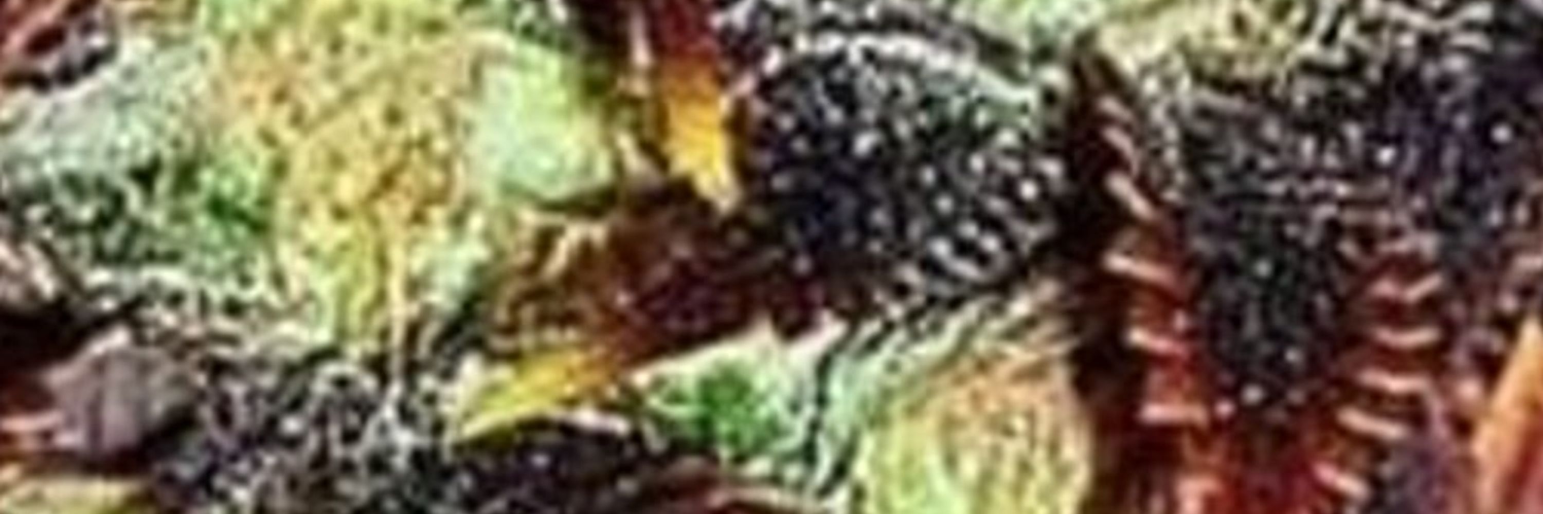 Markus S._20x21 a. D.