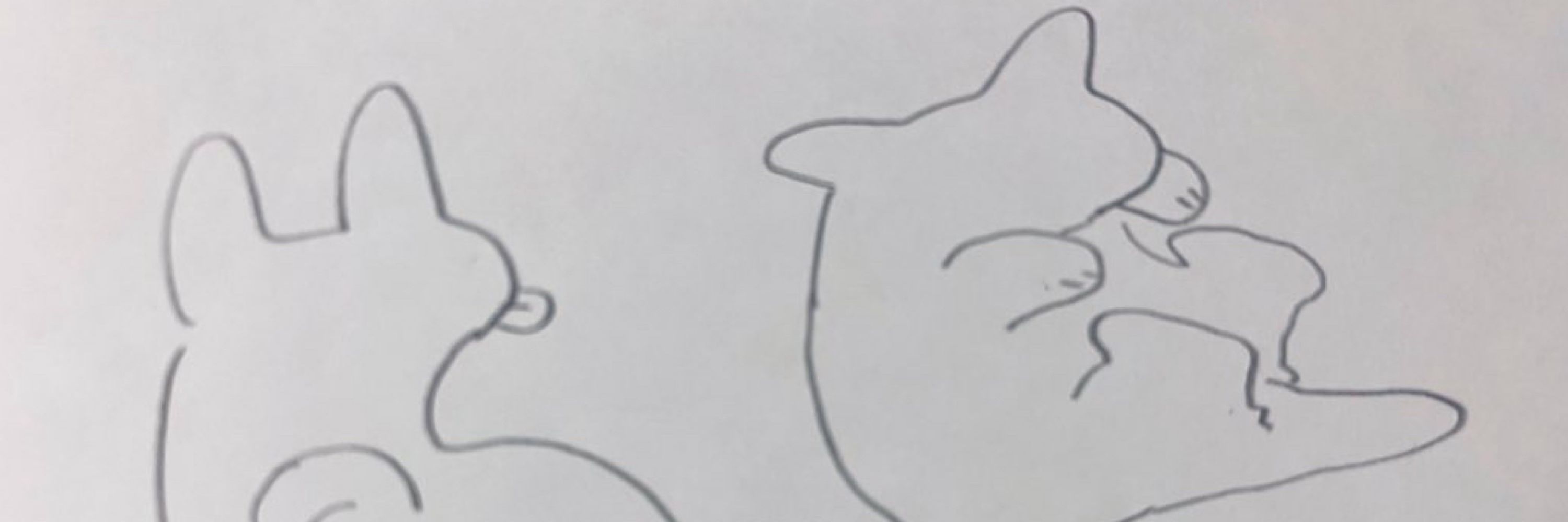 豆苗のま