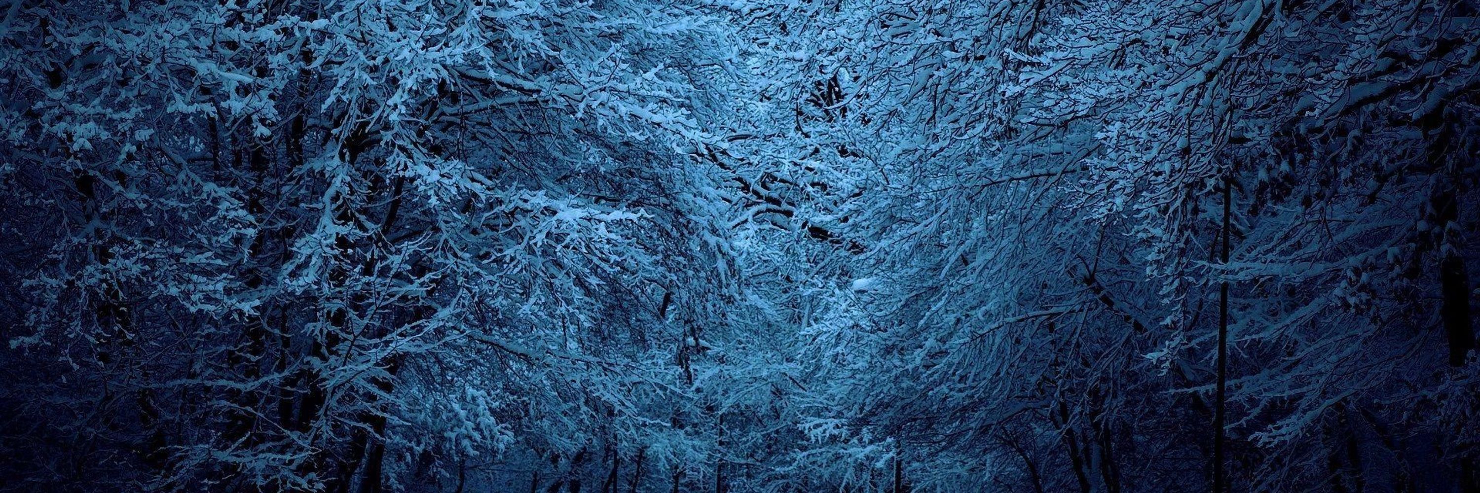 Snowbound Ranger
