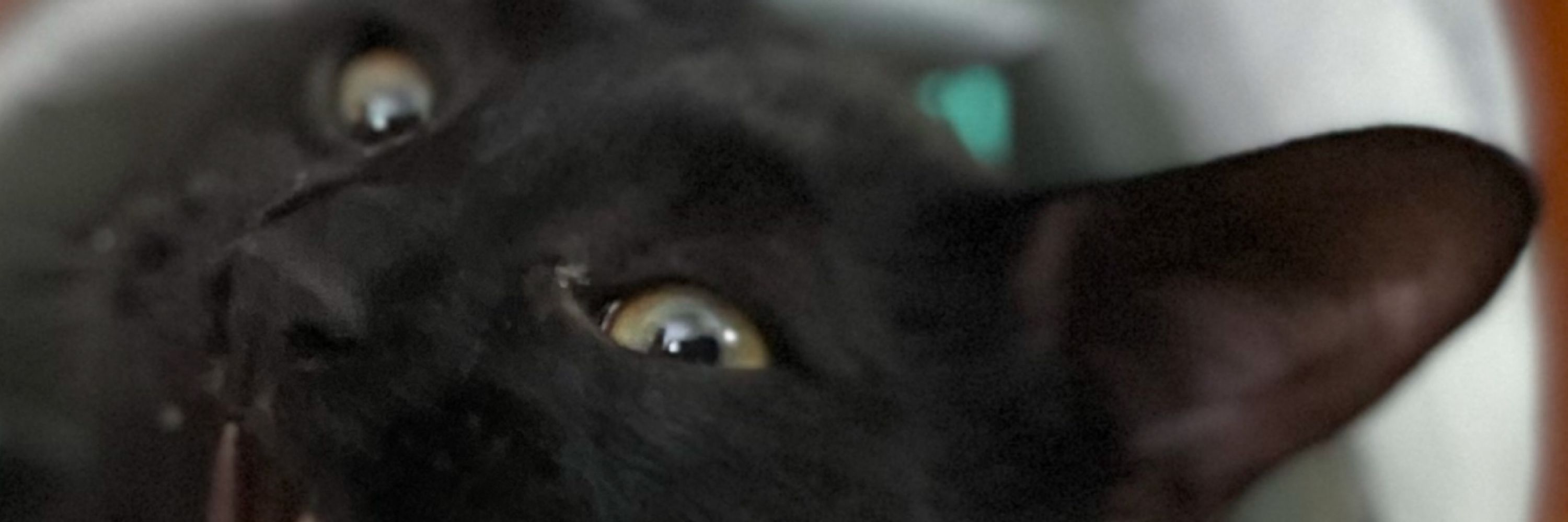 pixel