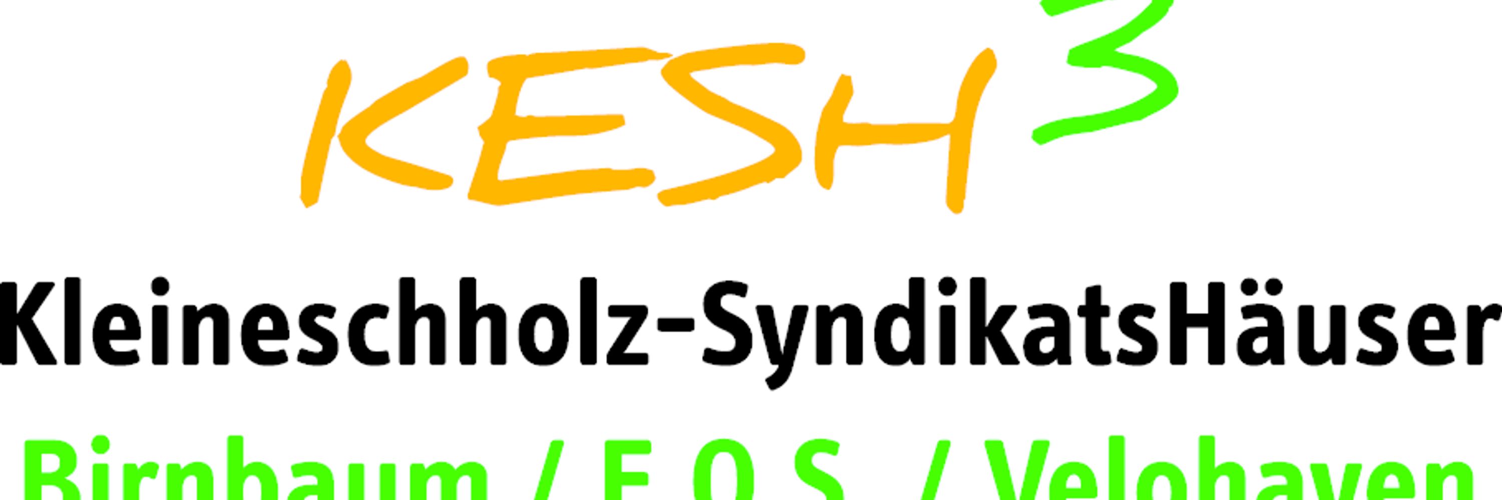 Kleineschholz-Syndikats Häuser Freiburg