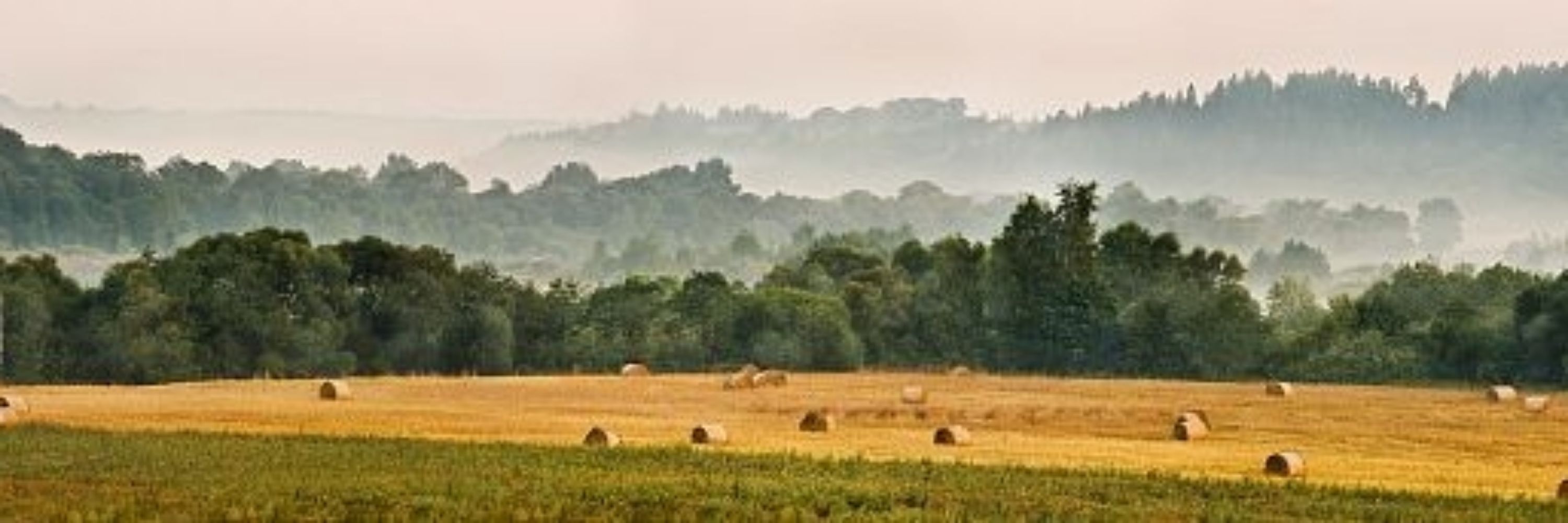 akmeninis  🇱🇹👊🇺🇦