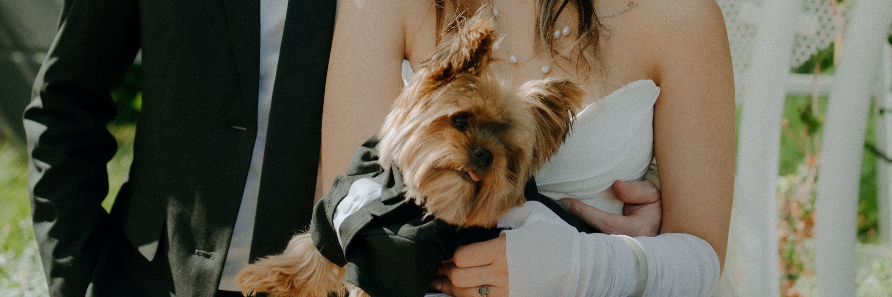 ❥ chloe