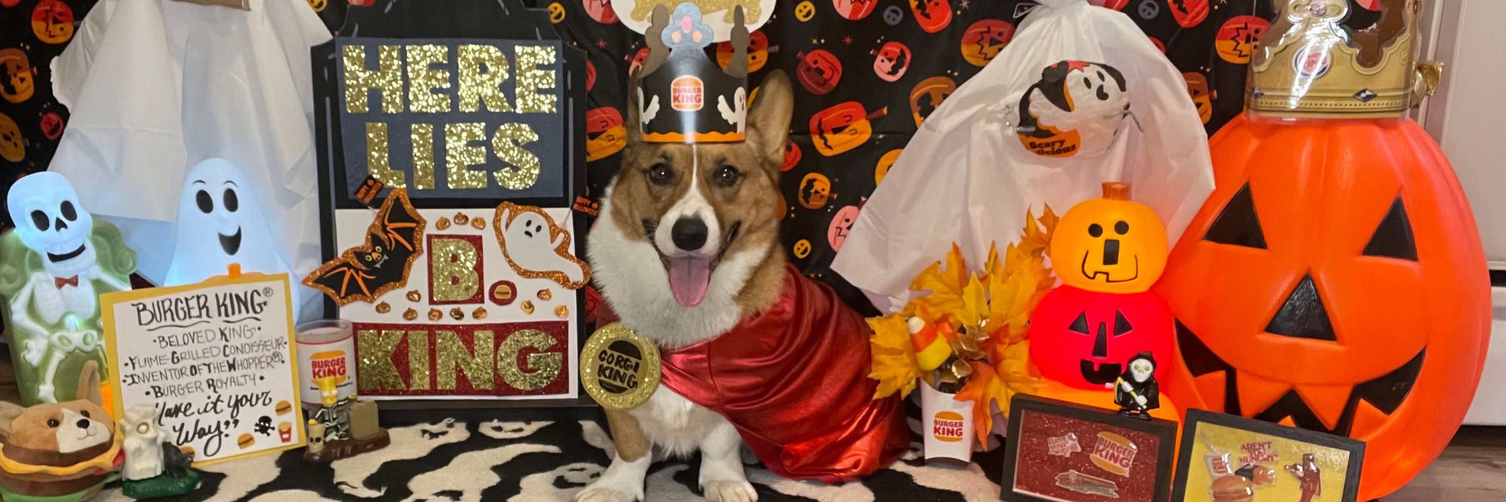 Hank Reginald The Corgi