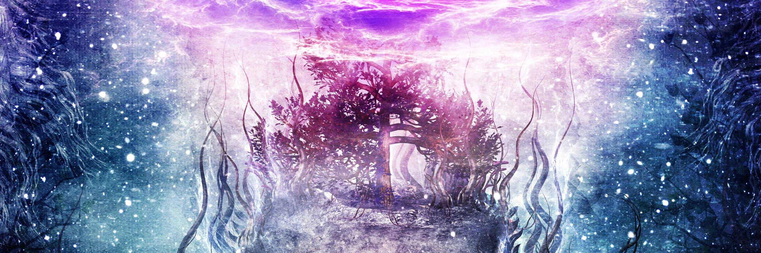 nin