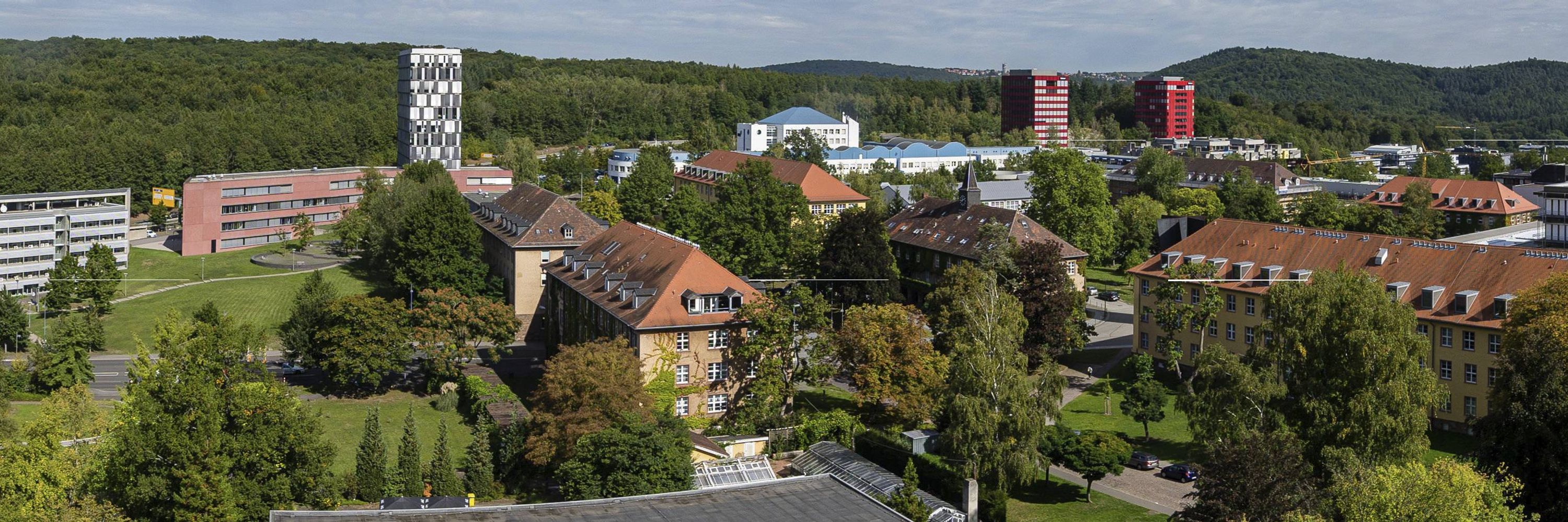 Universität des Saarlandes