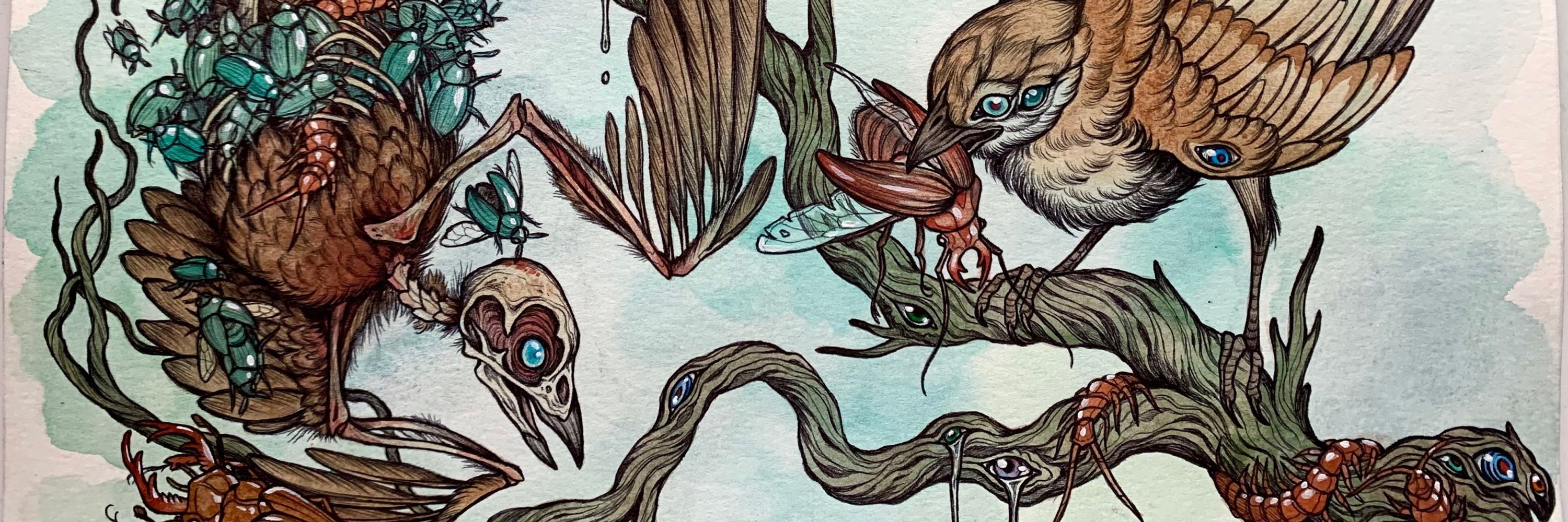 Caitlin Hackett Art