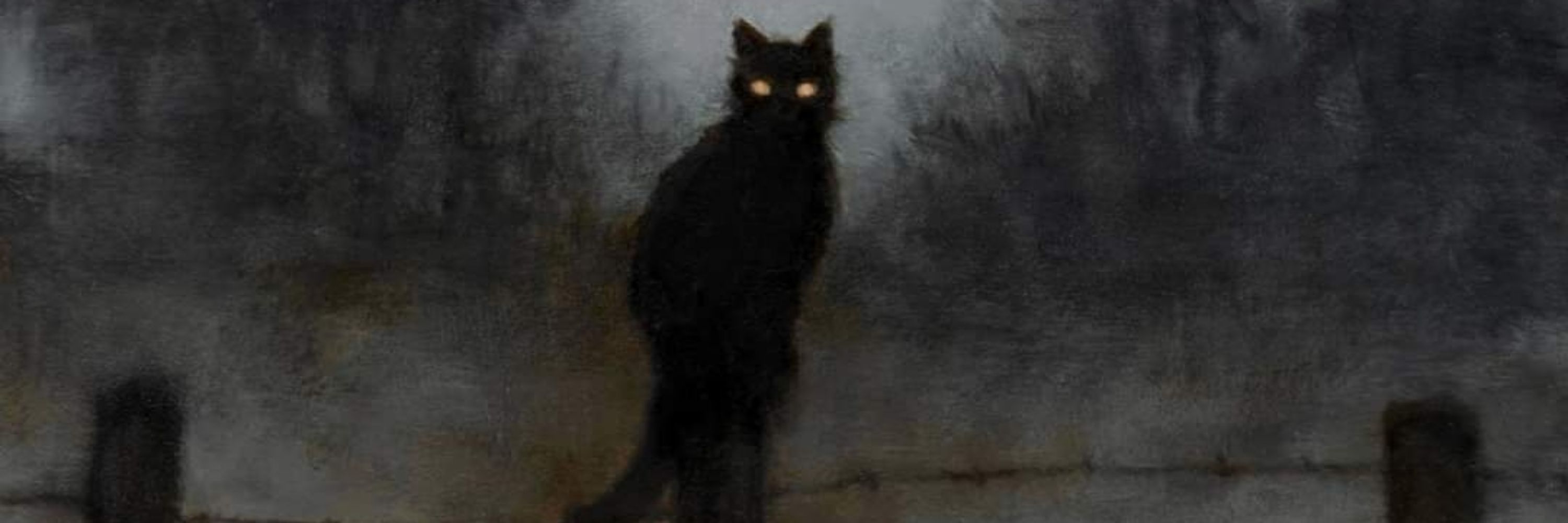 𝖤𝗏𝖾𝗅𝗂𝗇𝖾  