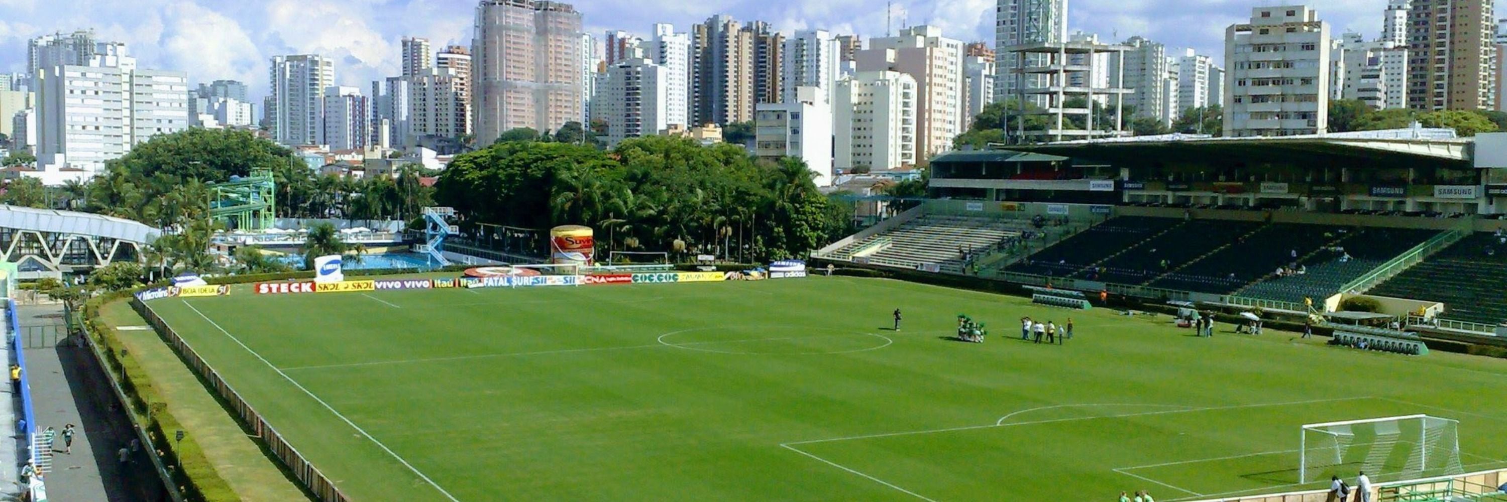 Vitor Forcellini 