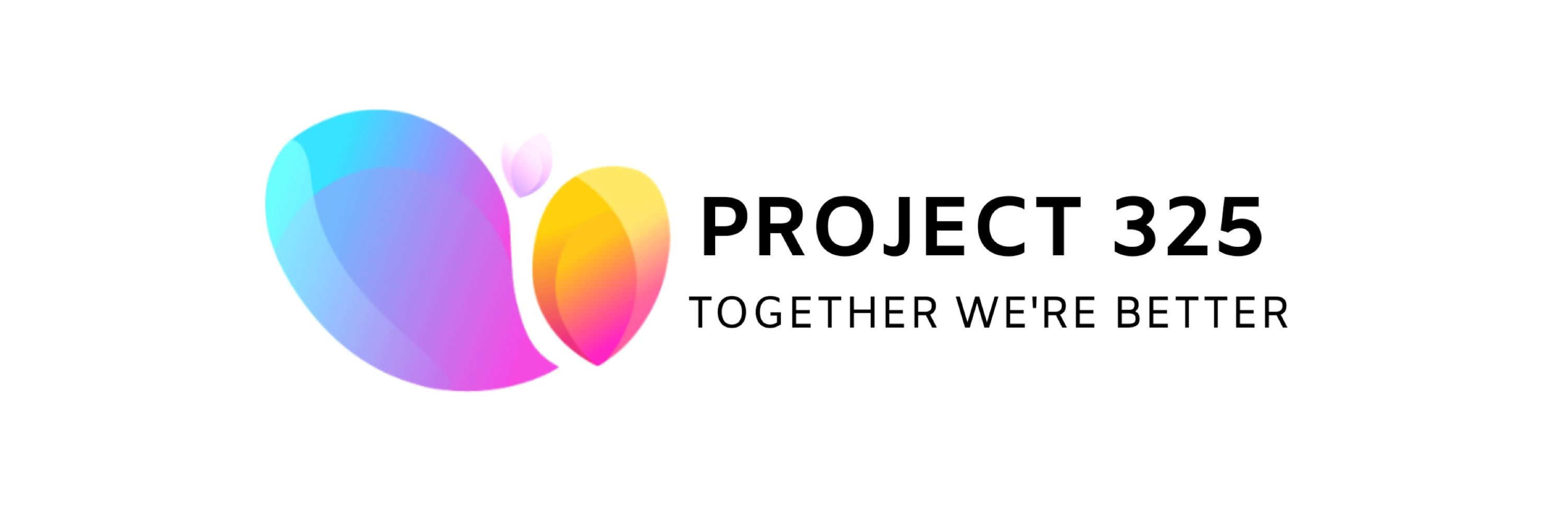 Project 325