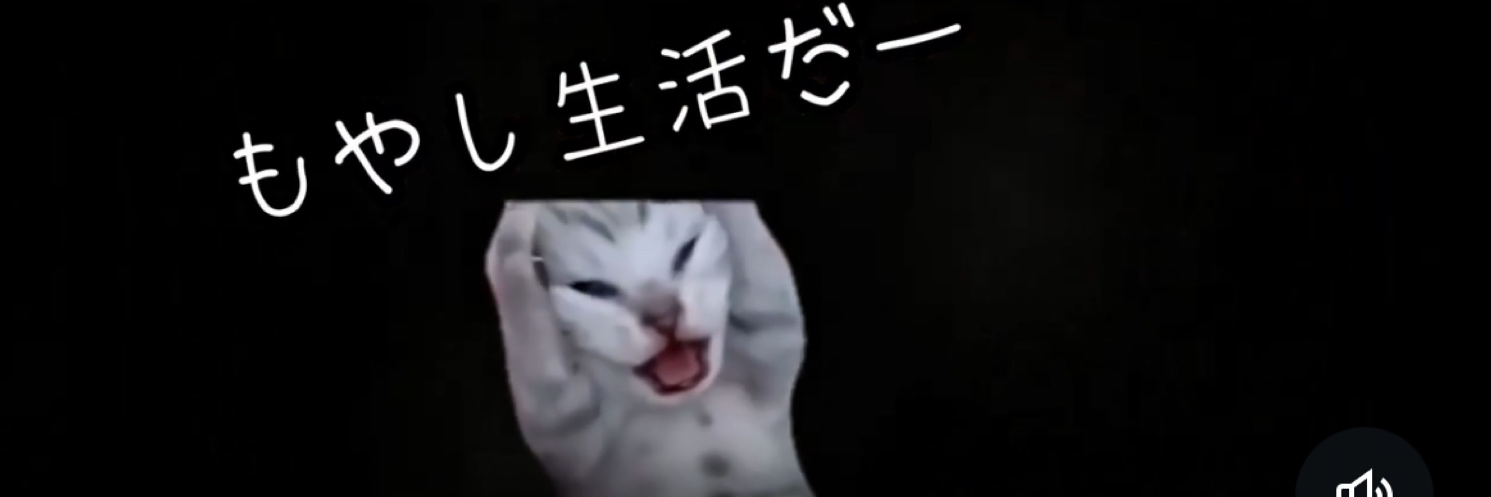 ちきちき
