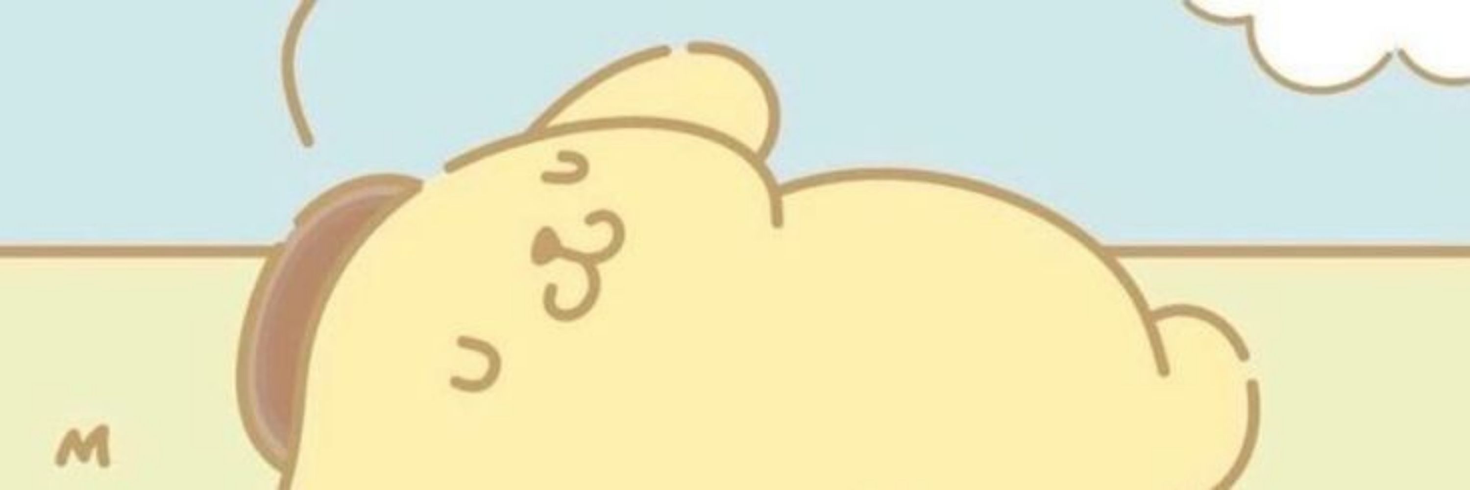 ⊹aninha⊹/VIU O SKZ