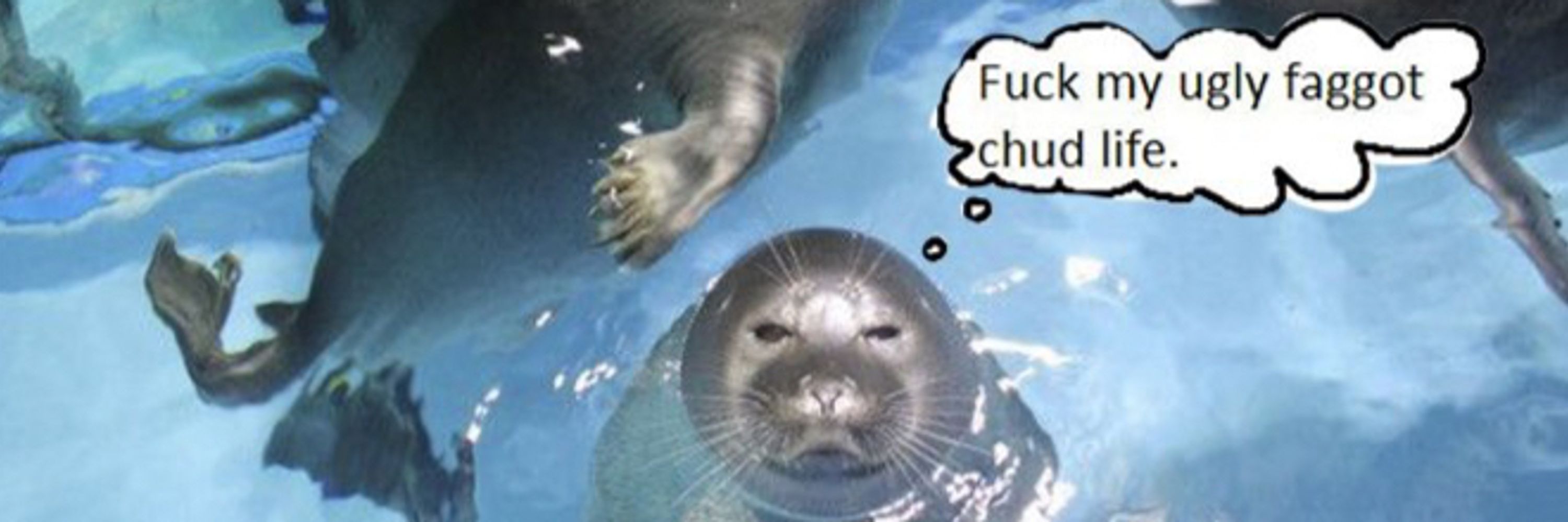 Professor Pinniped! 