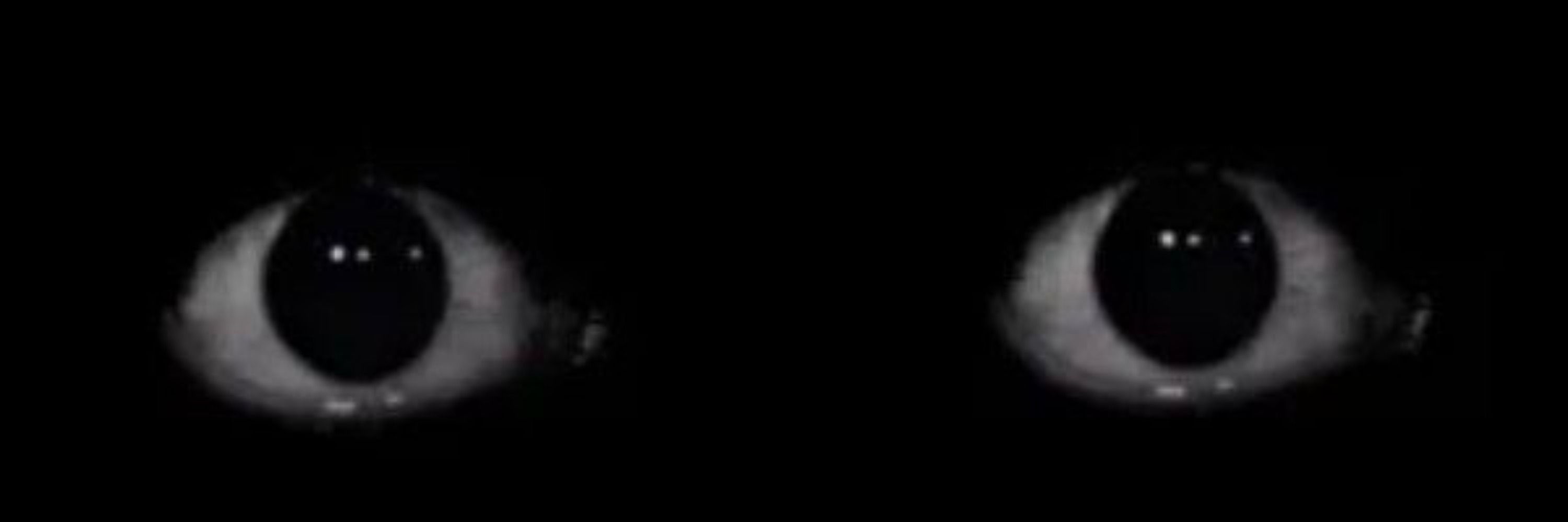 ★`•Soel•`★