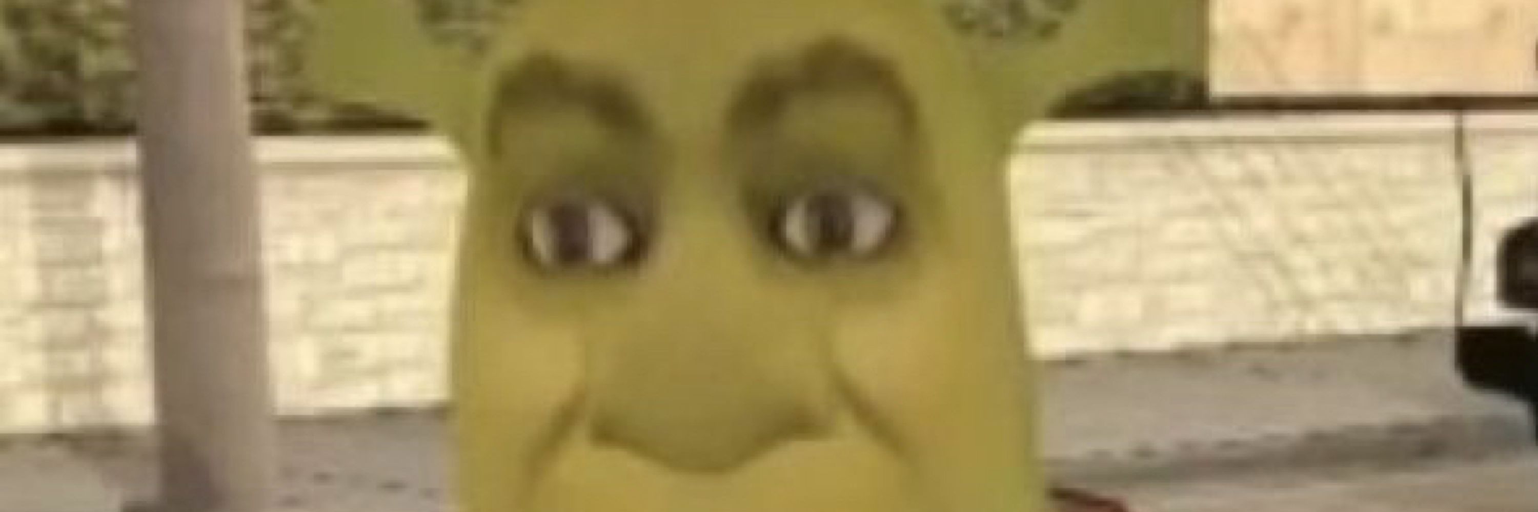 Sean