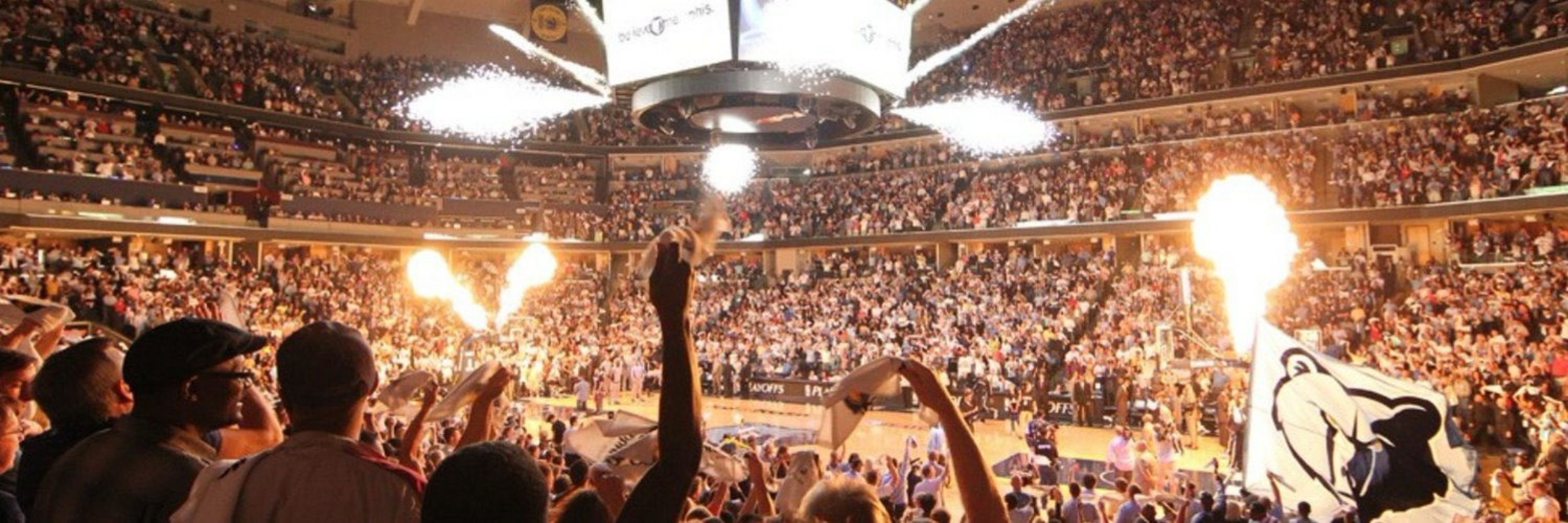 🐻🏀