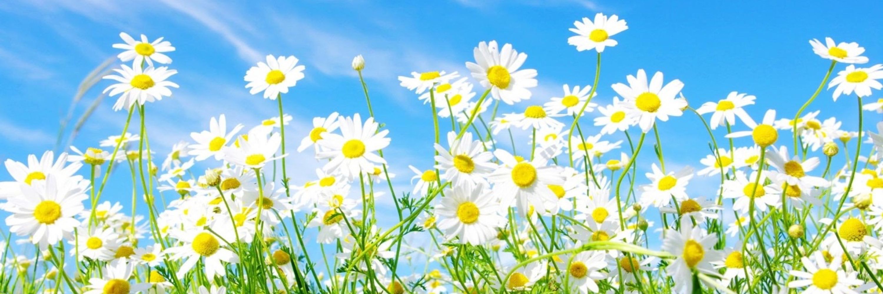 Sunny-Clouds ☁️🦋☁️