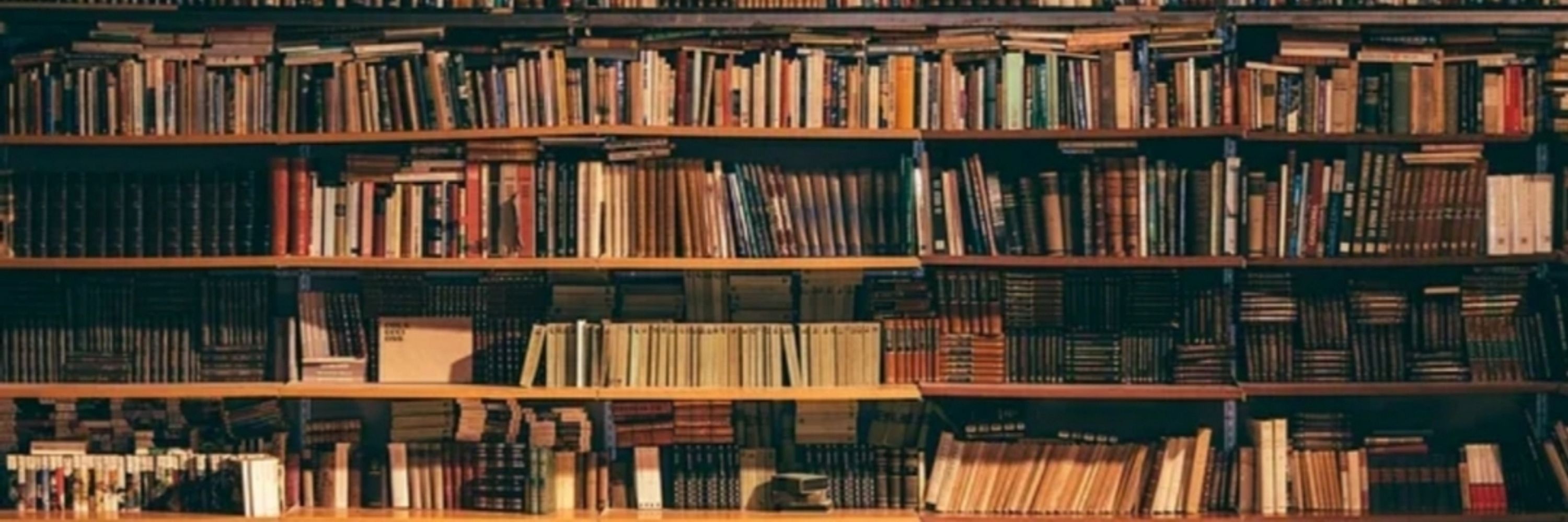 A-Literate-Gal