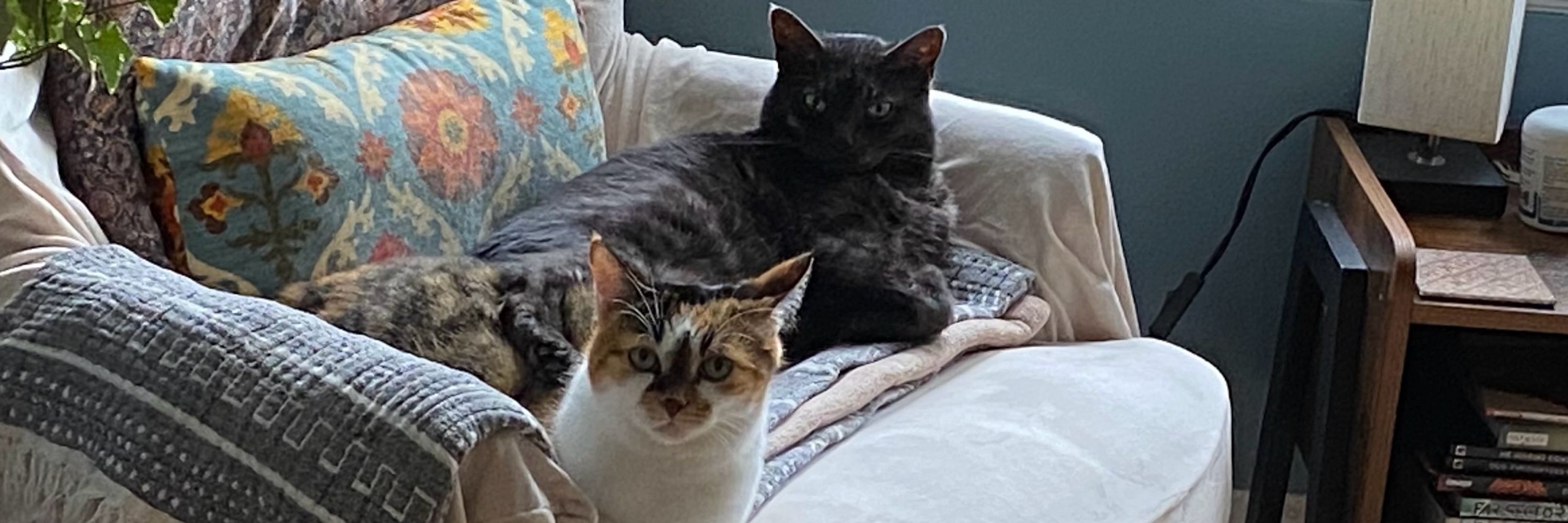 Guthrum and Oswin