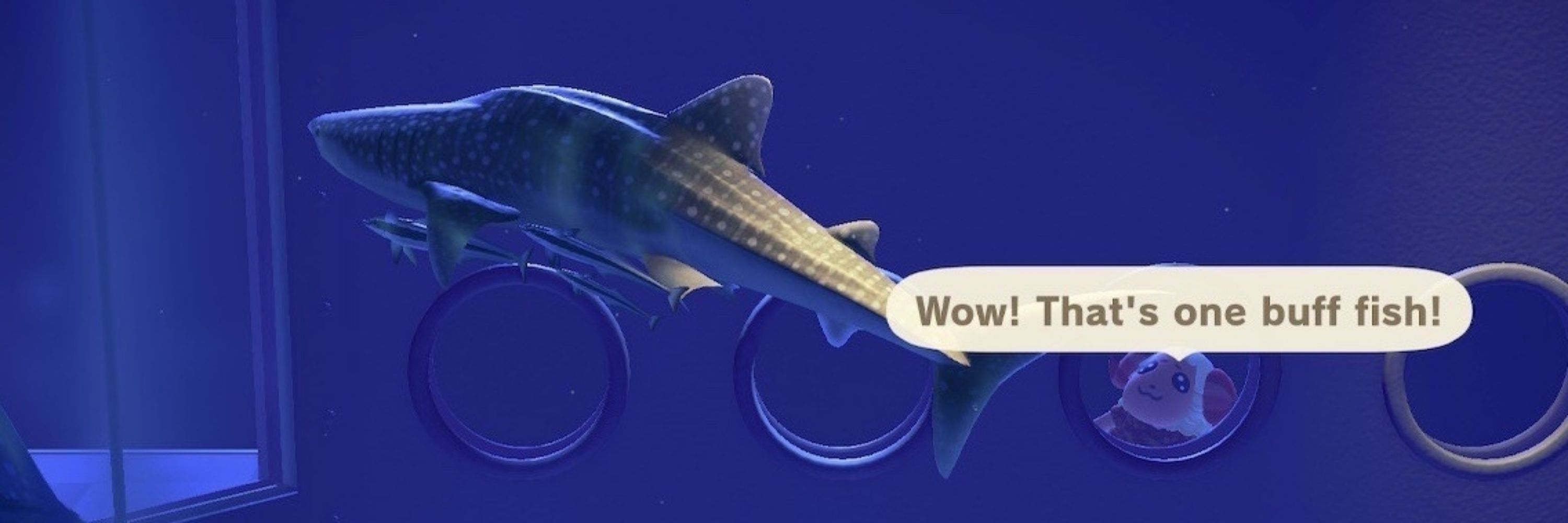 fin (supposedly)