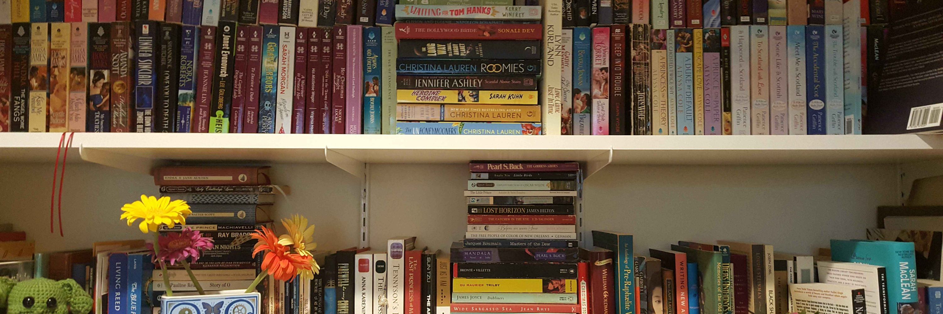 Beth the Book Buying Librarian