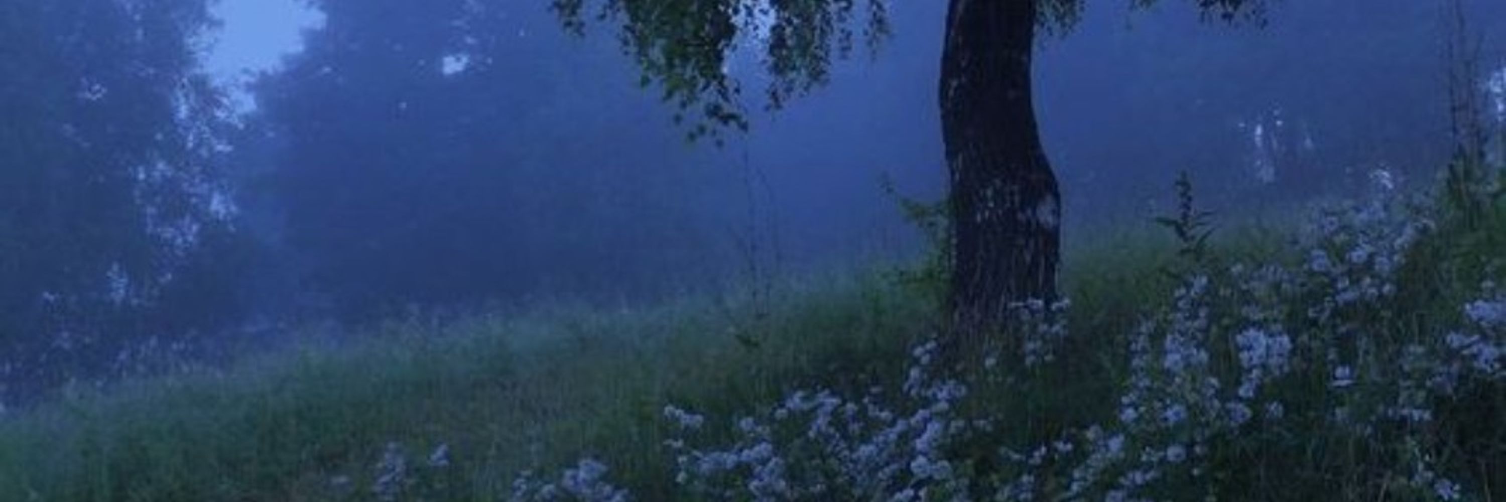Littleblue
