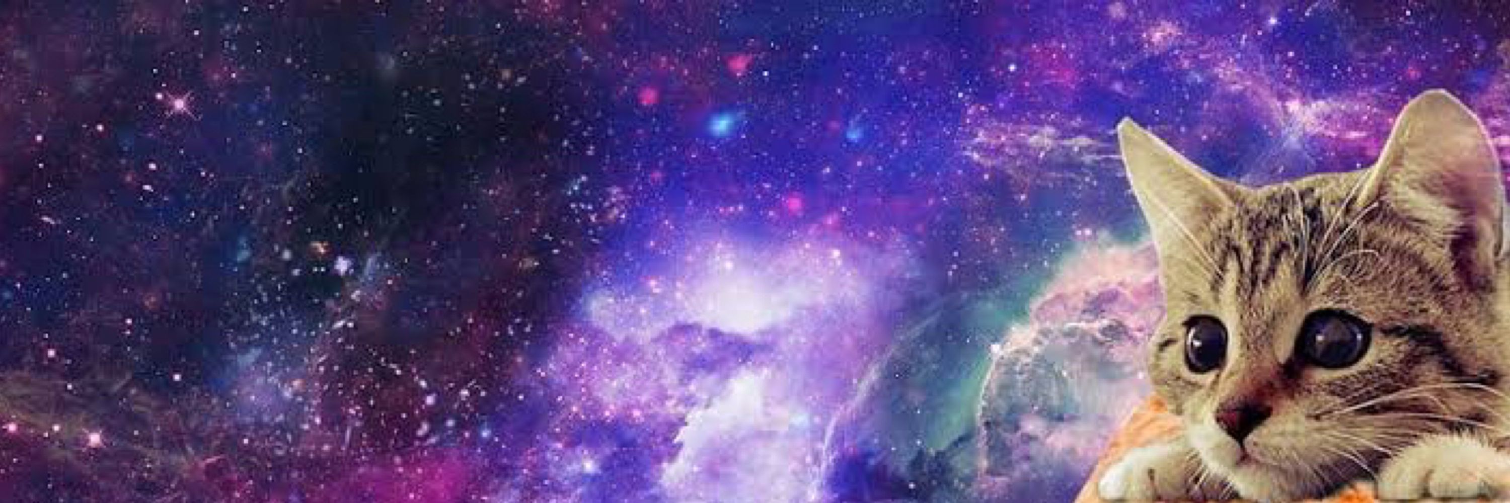 ⭐︎しおれもん⭐︎