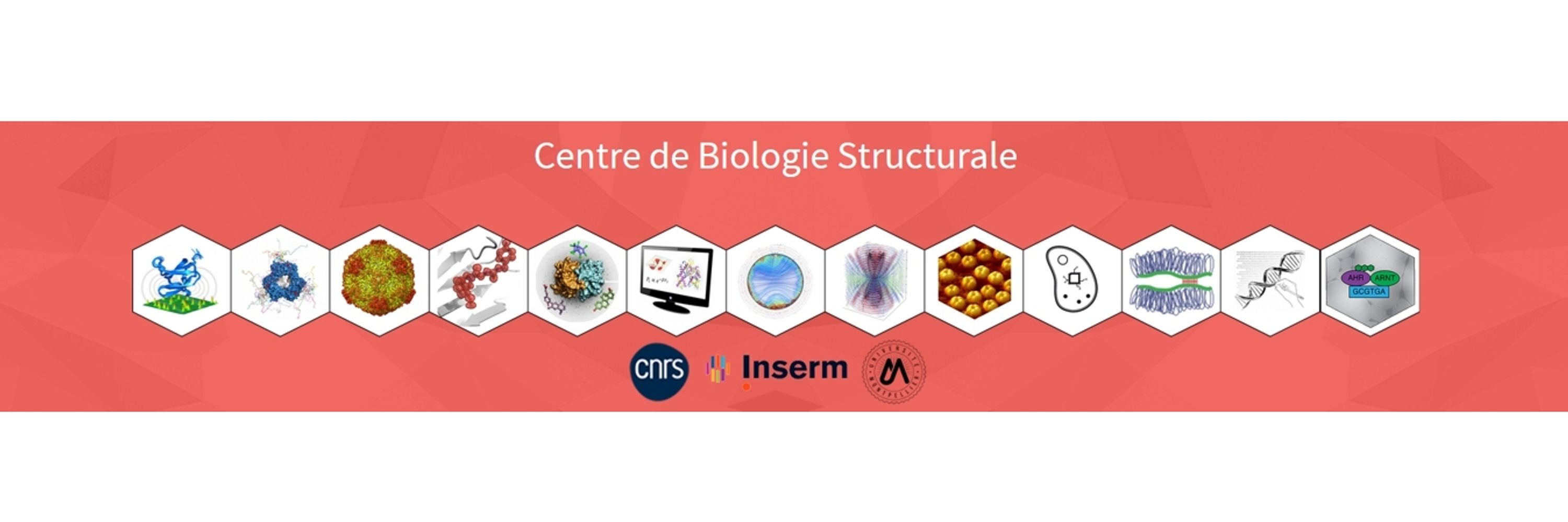 Center for Structural Biology (CBS Montpellier)