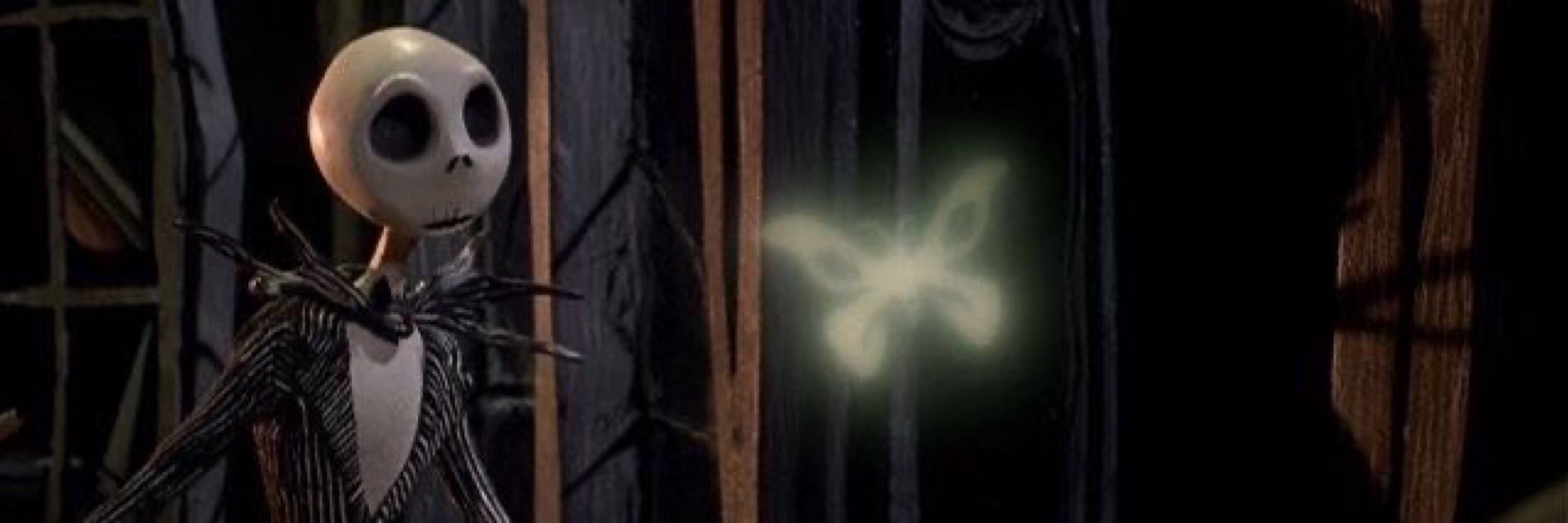 𝕸𝖎𝖗𝖆𝖓𝖉𝖆 🌿🧿🦇✨