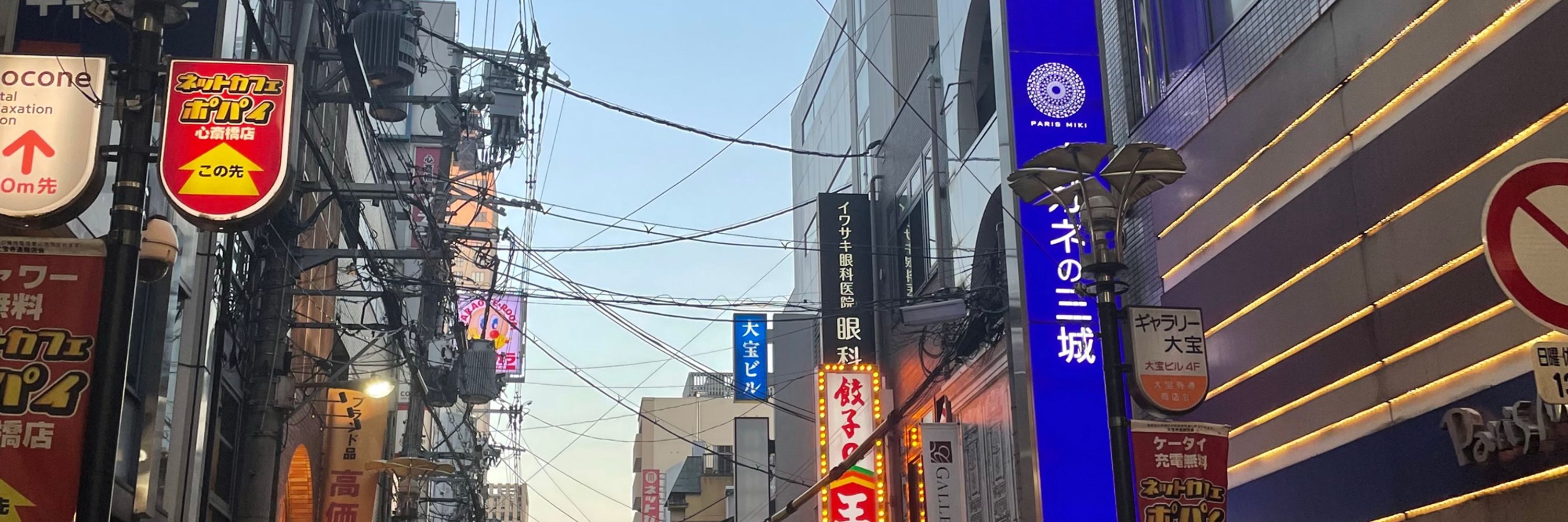 杏