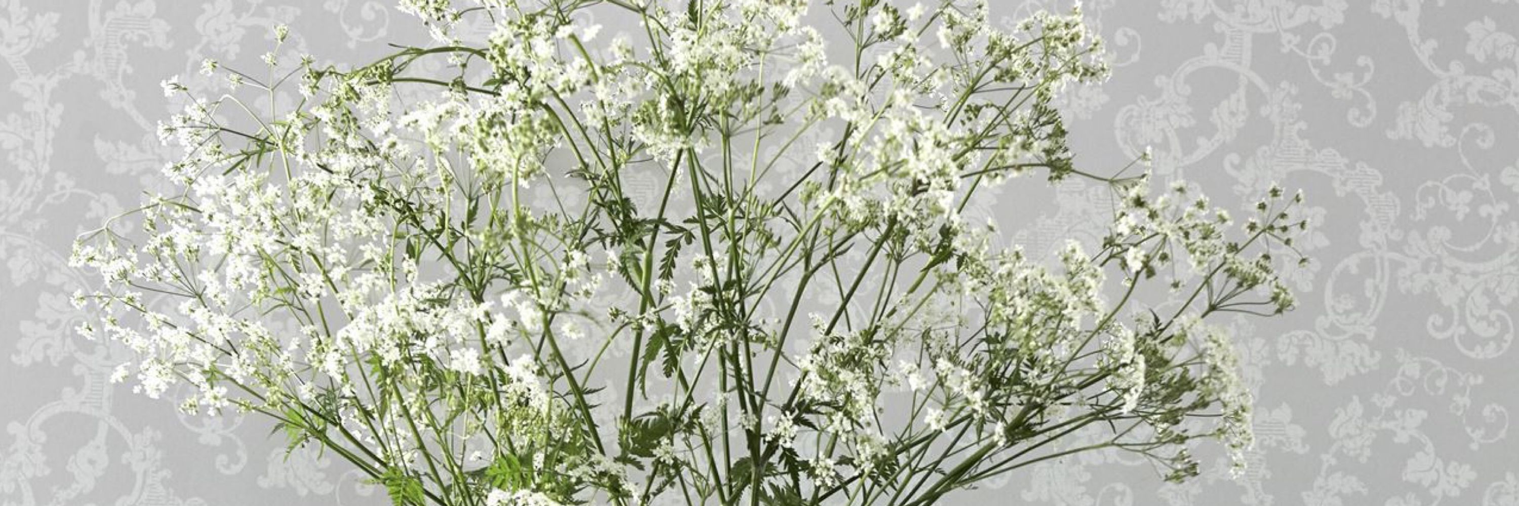 bouquet_y1105