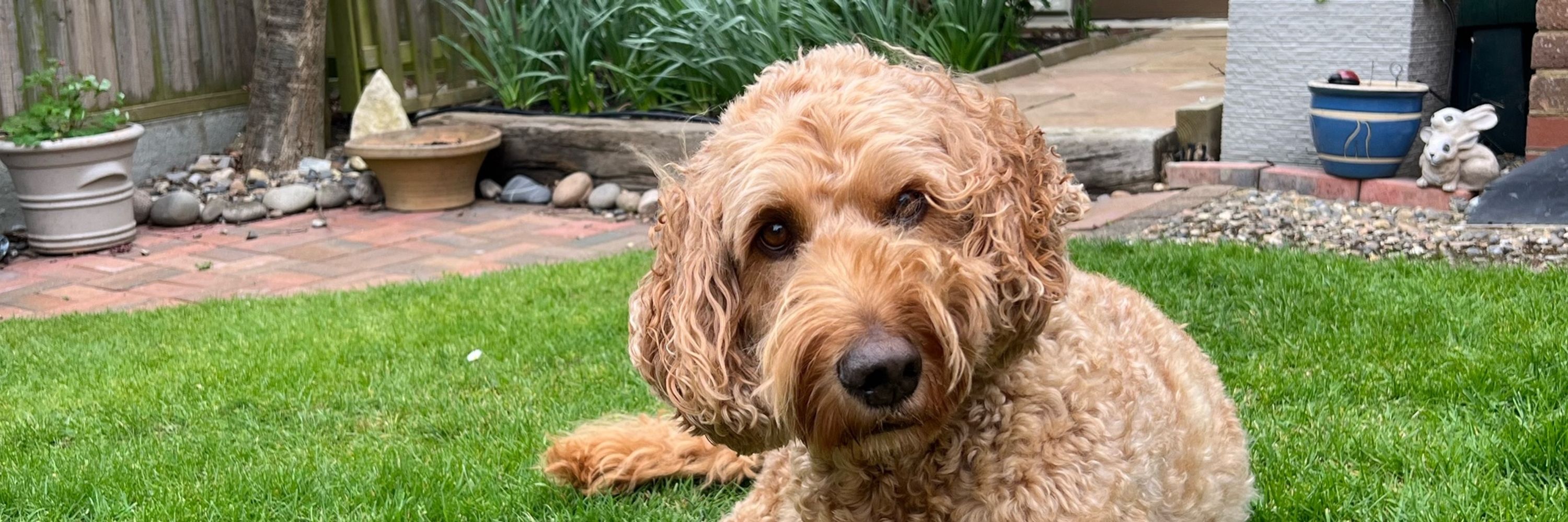 George